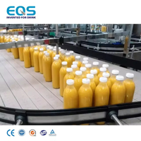 Automated Juice Bottle Apple Juice Filling Capping Machine For Beverage Production Line